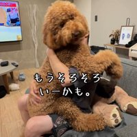 「もう…いいかな…」