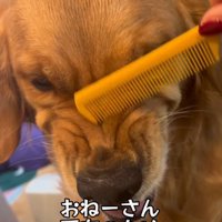 顔がしわくちゃ！