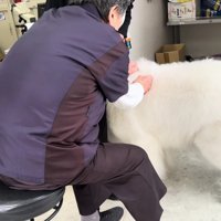 あっという間に終了