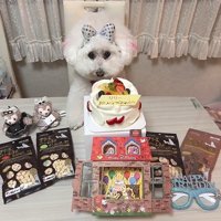 リリーちゃんの変化⑩