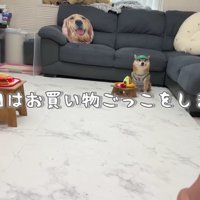 おうちでごっこ遊び♪