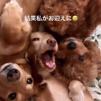 3兄弟の末っ子に！！