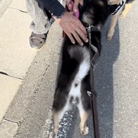 お友達にもご挨拶