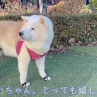 とっても嬉しそう！