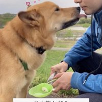 精一杯ペロペロ