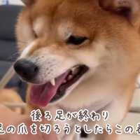 ムキ顔のうにくん