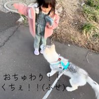 おやつをほしがるブル君