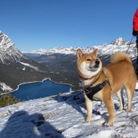 高台に到着！