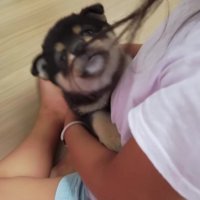 穏やかな初対面になった