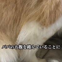 踏まれるパパ