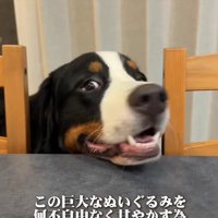 アロちゃん第一♡