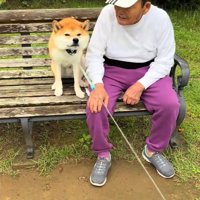 拒否柴のコタロウくん