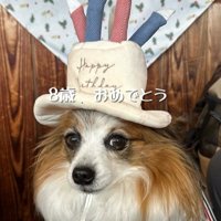 そらちゃんを迎えてからの日々9