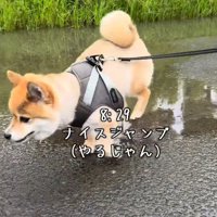 パワフルなあずきちゃんでした