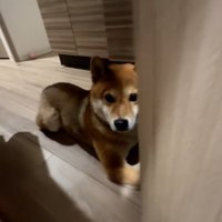 ずっと待ってるイブキくん