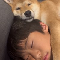 重なって眠る犬と男の子