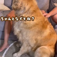 お姉ちゃんたちに助けを求める