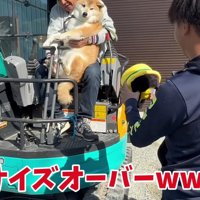 運転席に入りきらない…！