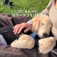 ほとんど遊ばずお昼寝開始！