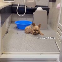 疲れたら一休み