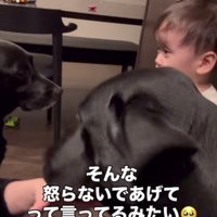 怒られちゃった！！