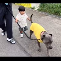 散歩するふたり