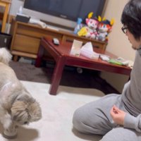 指示される前に鳴らしています