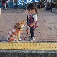 「どうしたの」