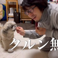 指示を無視してオヤツを催促
