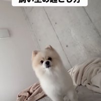 ママを起こしにきました