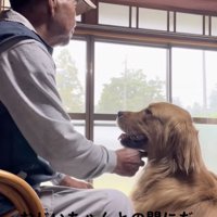 ずっと続け、穏やかな時間