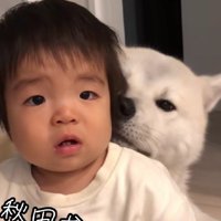 お兄ちゃんのような存在
