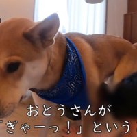 「お父さん、大丈夫？」と心配
