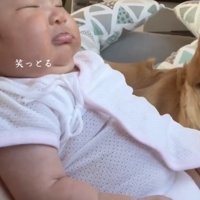 膝の上で眠る赤ちゃん