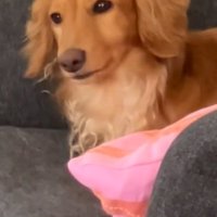 前を見るしまちゃん