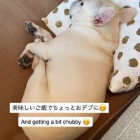 健康的な体つきに