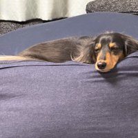 うっとり