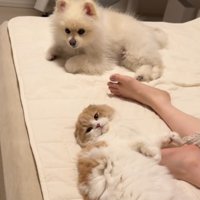 部屋に溢れるまったり感…