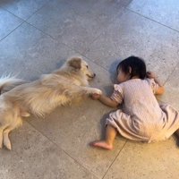 最近のこたつ君と赤ちゃん2