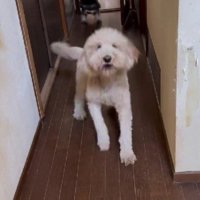 大喜びするカールちゃん