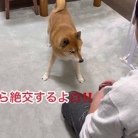 「騙すつもりだな！」