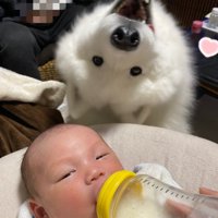 1年半