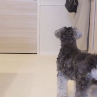 ママさんが出発