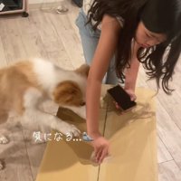 めるちゃんも興味津々