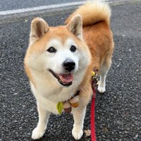 ニッコニコの笑顔！
