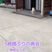 飼い主さんが帰宅したら…