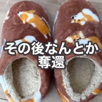 取り返したスリッパ