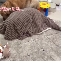 おからちゃんが気付いた！！