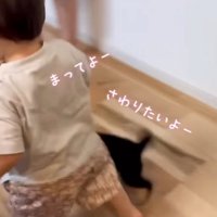 走り出す男の子についていく子犬