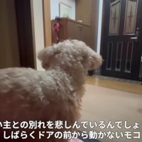 玄関に留まっていた
